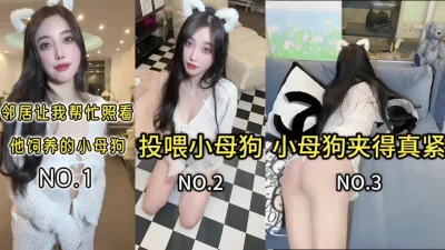 看下面的简阶用它】